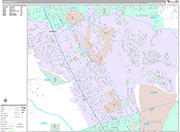 San Ramon Wall Map Premium Style